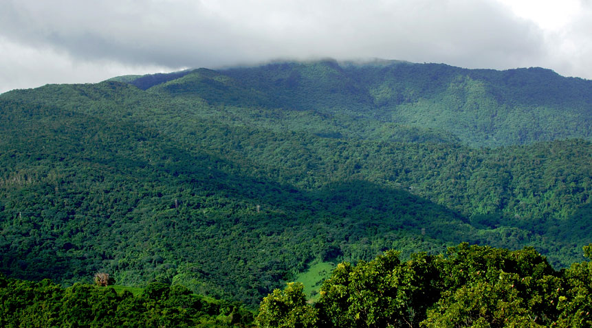 El Yunque Rainforest in Rio Grande.