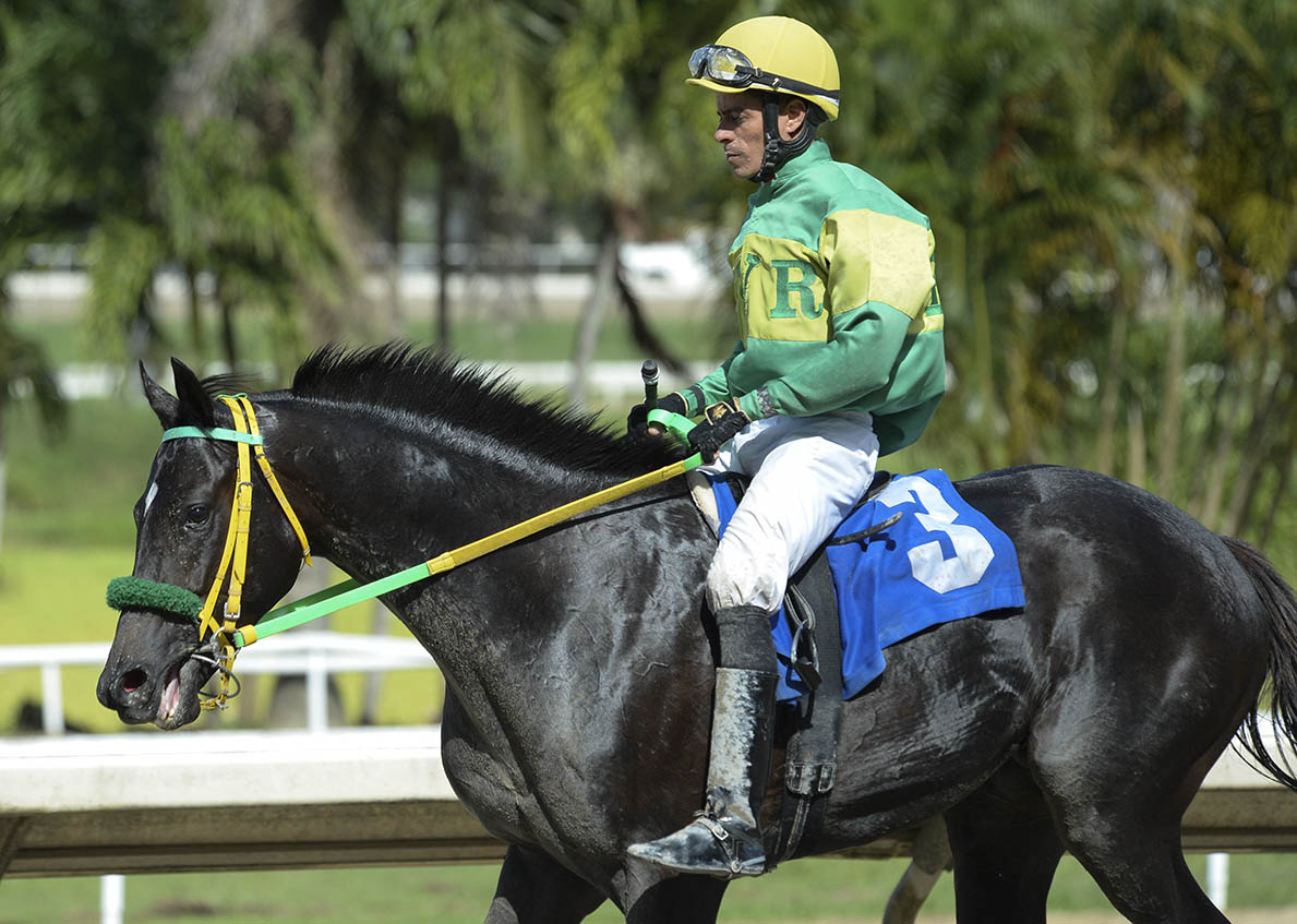 Jockey Juan Carlos Diaz